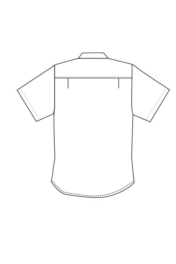 ボタンダウンシャツ（半袖）　イラスト　バックスタイル