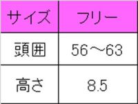 白と黒のクックキャップ（天メッシュ）　サイズ表