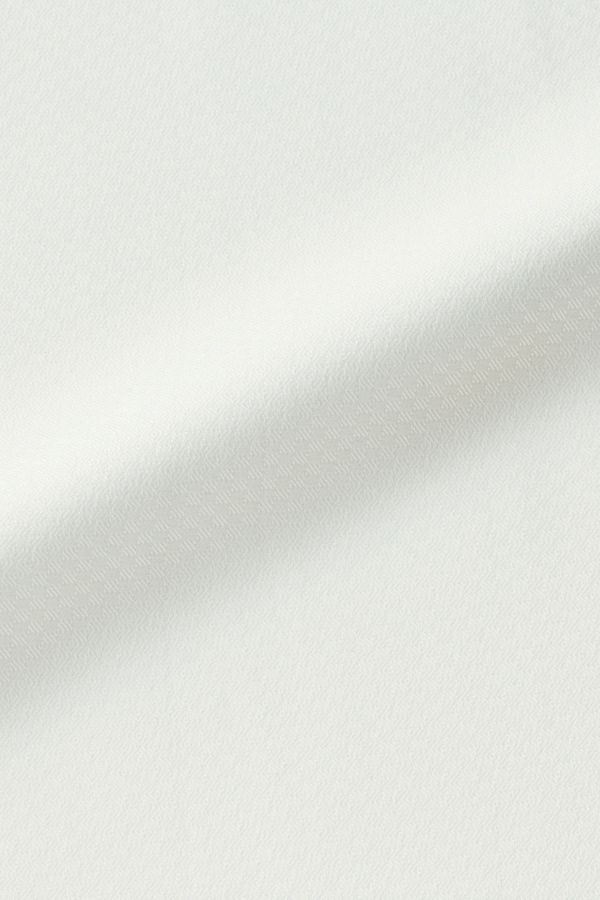 ブラウス半袖　生地