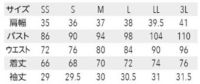 サイズ表