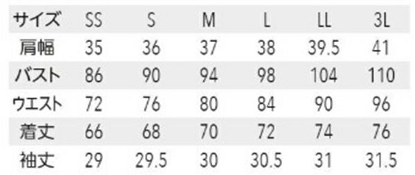 サイズ表