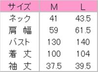サイズ表