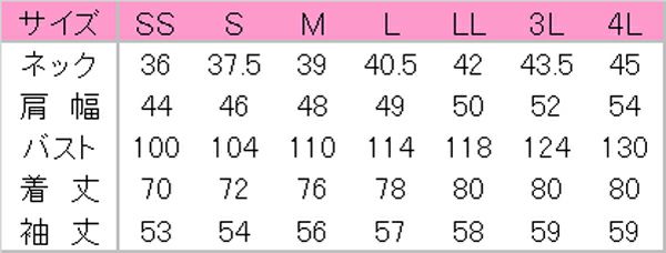 サイズ表