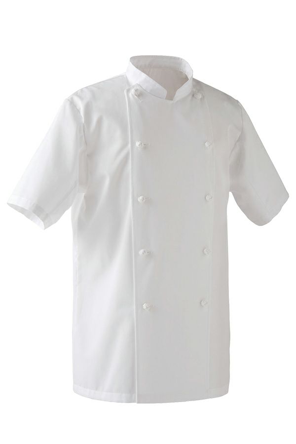 コックコート　半袖