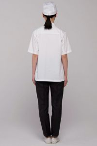 コックコート　半袖　バックスタイル