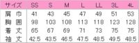 サイズ表