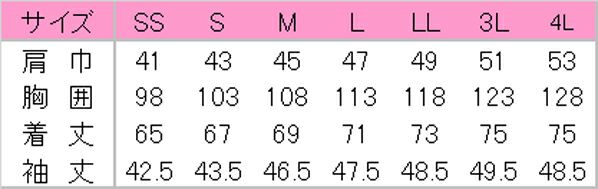サイズ表